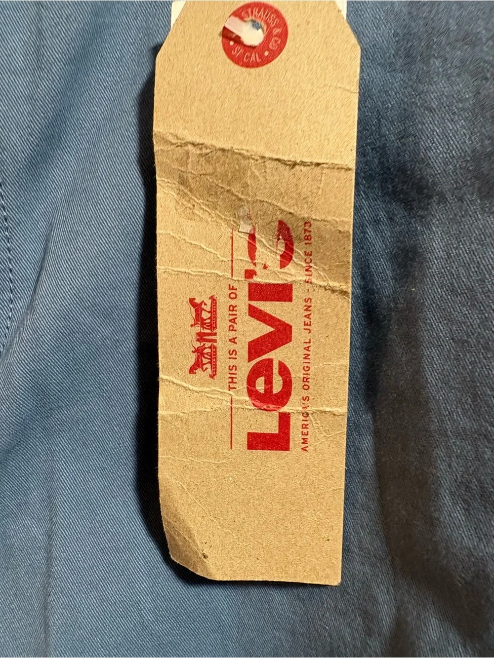 Levi's Men's Blue Casual Pants
